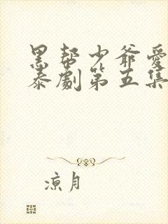 黑帮少爷爱上我泰剧第五集