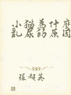 小猫为什么乱拉乱尿的原因呢