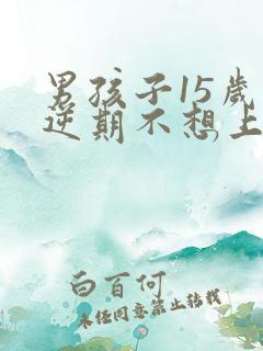 男孩子15岁叛逆期不想上学怎么办