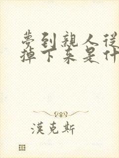 梦到亲人从高处掉下来是什么预兆