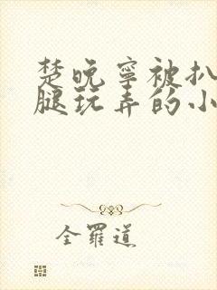 楚晚宁被扒开双腿玩弄的小说