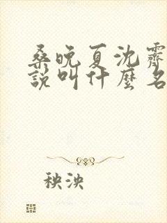 桑晚夏沈霁年小说叫什么名字