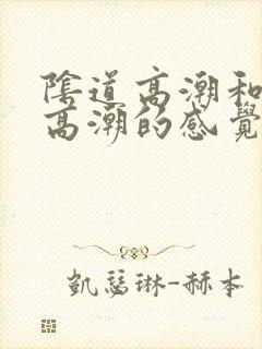 阴道高潮和阴蒂高潮的感觉一样吗