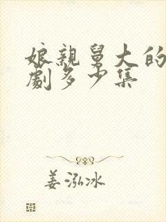 娘亲舅大的电视剧多少集