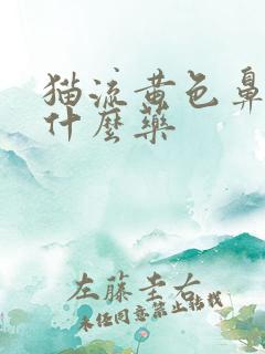 猫流黄色鼻涕吃什么药