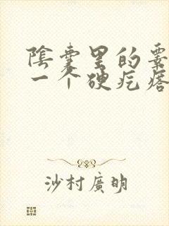 阴囊里的睾丸有一个硬疙瘩