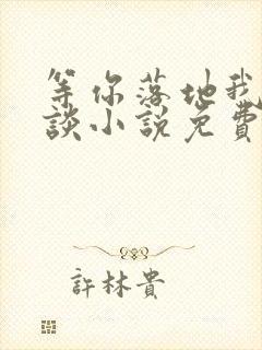 等你落地我们在谈小说免费阅读