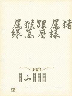 属猴跟属猪的姻缘怎么样