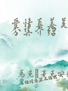 爱情真善美剧情分集介绍