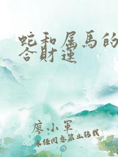 蛇和属马的合不合财运