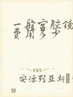 一般宫腔镜检查费用多少