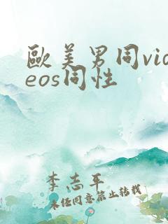 欧美男同videos同性