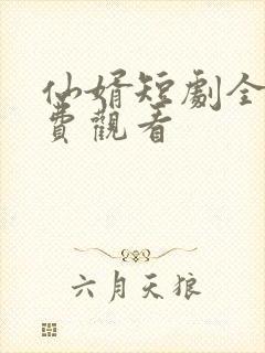 仙婿短剧全集免费观看