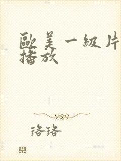 欧美一级片网站播放