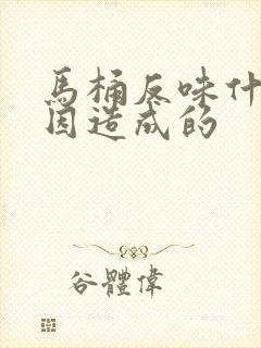 马桶反味什么原因造成的