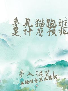 梦见猫跑进家里是什么预兆