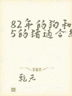 82年的狗和95的猪适合结婚吗