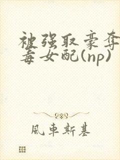 被强取豪夺的恶毒女配(np)