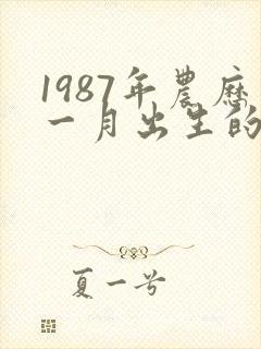 1987年农历一月出生的属兔女命运如何