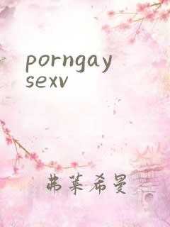 porngaysexv