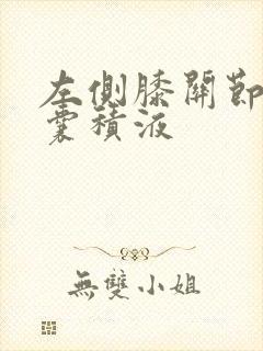 左侧膝关节髌上囊积液