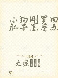 小狗刚买回来拉肚子怎么办