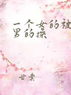 一个女的被几个男的操