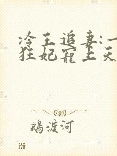 冷王追妻:一品狂妃宠上天