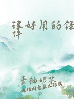 很好用的录屏软件