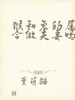 猴和兔的属相适合做夫妻吗