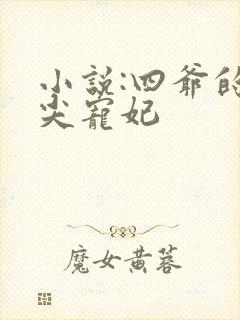 小说:四爷的心尖宠妃