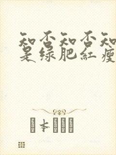 知否知否知否应是绿肥红瘦免费观看高清