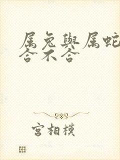 属兔与属蛇属相合不合