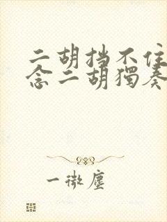 二胡挡不住的思念二胡独奏