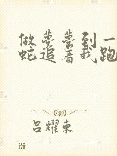 做梦梦到一条黑蛇追着我跑