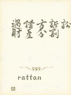 过错方诉讼离婚财产分割