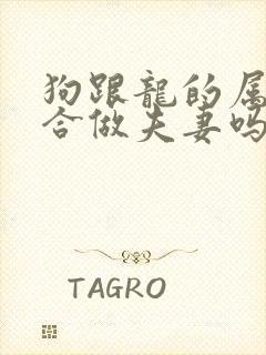 狗跟龙的属相适合做夫妻吗