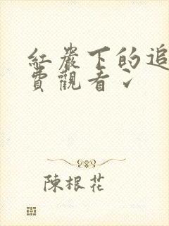 红岩下的追捕免费观看冫