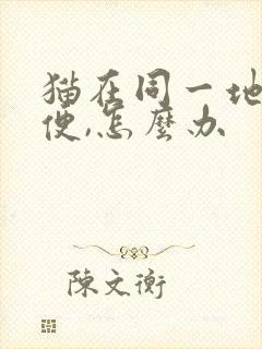 猫在同一地方小便,怎么办