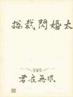 总裁闪婚太霸道