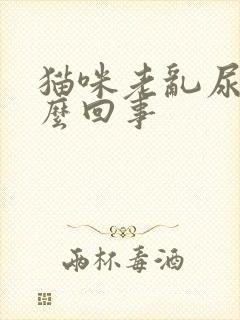 猫咪老乱尿是怎么回事