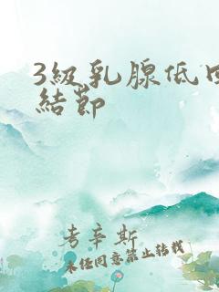 3级乳腺低回声结节