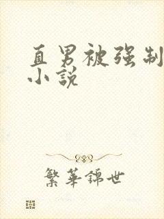 直男被强制np小说