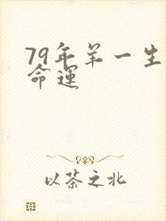 79年羊一生的命运