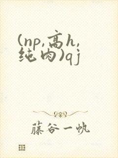 (np,高h,纯肉)qj