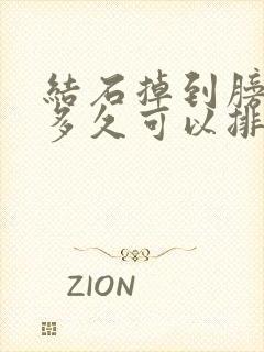 结石掉到膀胱里多久可以排出