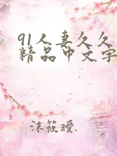 91人妻久久久精品中文字幕