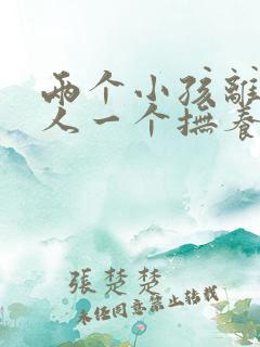 两个小孩离婚一人一个抚养费怎么出