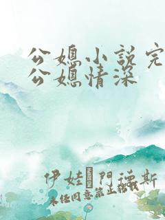 公媳小说完结版公媳情深