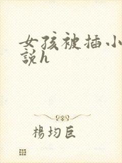 女孩被插小逼小说h